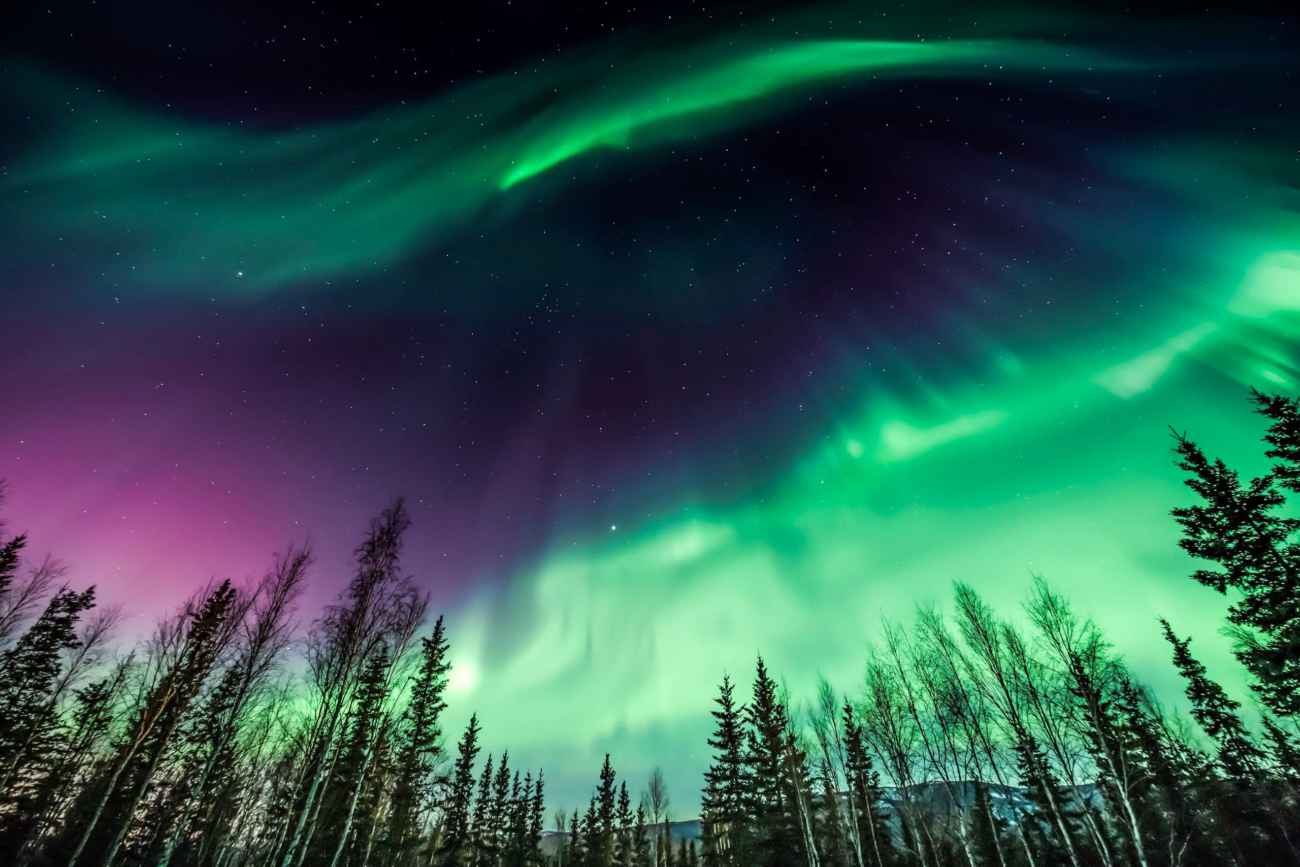 Северное сияние было видно. Aurora Borealis Северное сияние. Северное сияние Northern Lights. Аляска Северное сияние.