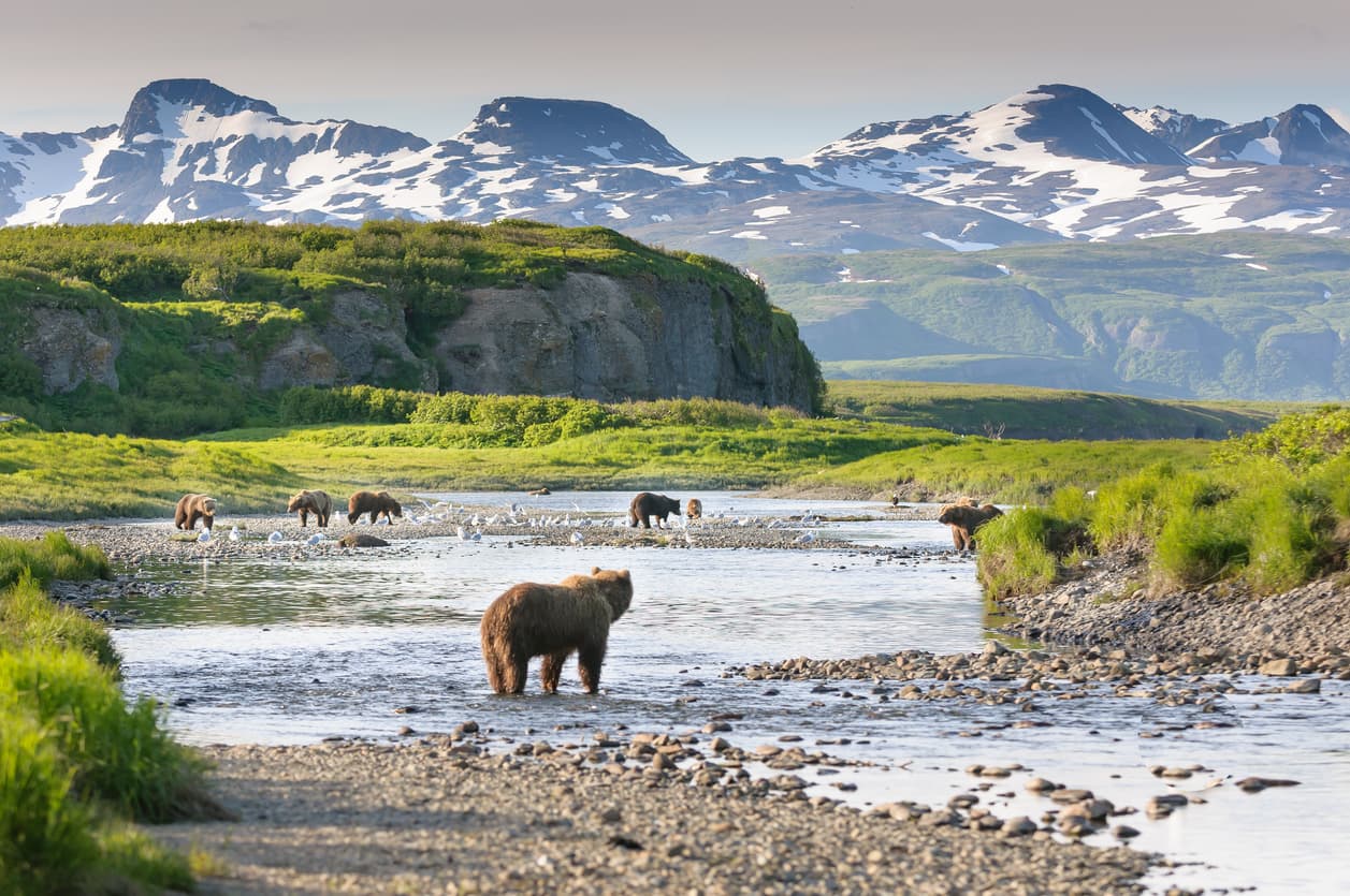 alaska 21+ Pictures Of Alaska In The Summertime Pics